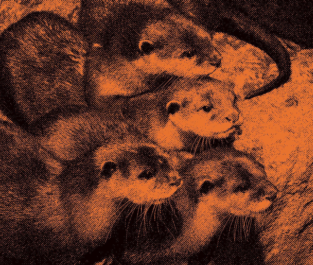 Otters illustrated on Adler Provisions Singapore wildlife packaging
